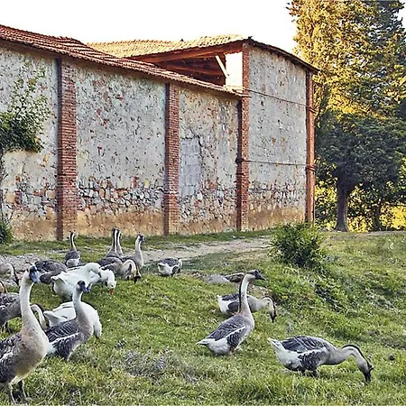 Apartment Fattoria Bigongiari Lucca